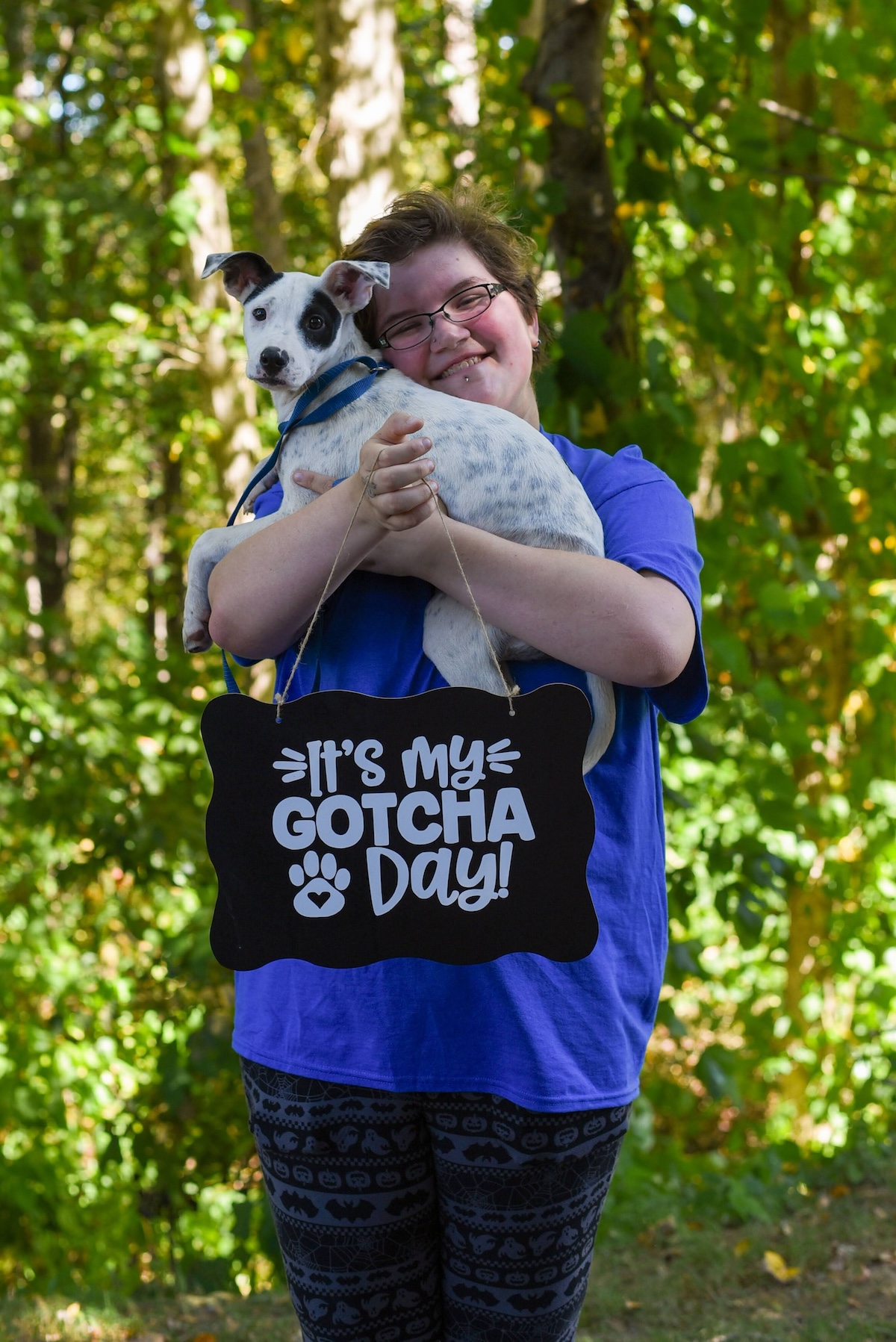 Habersham Animal Shelter No Kill 07 - 0p6o5xw
